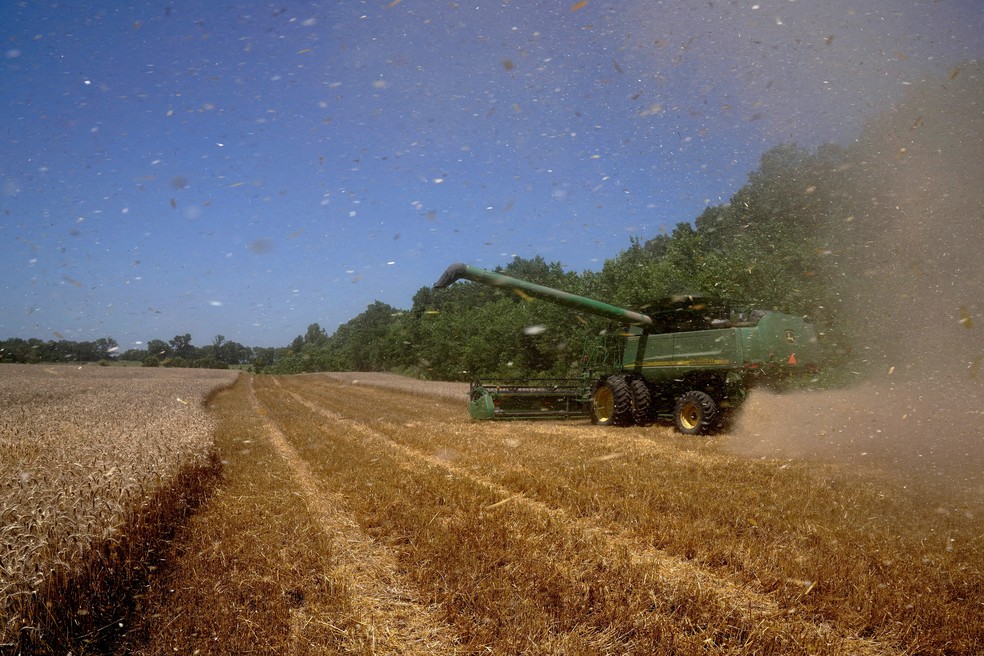 Plantação de trigo em Oklahoma， nos Estados Unidos， em foto de junho de 2024 — Foto: REUTERS/Nick Oxford