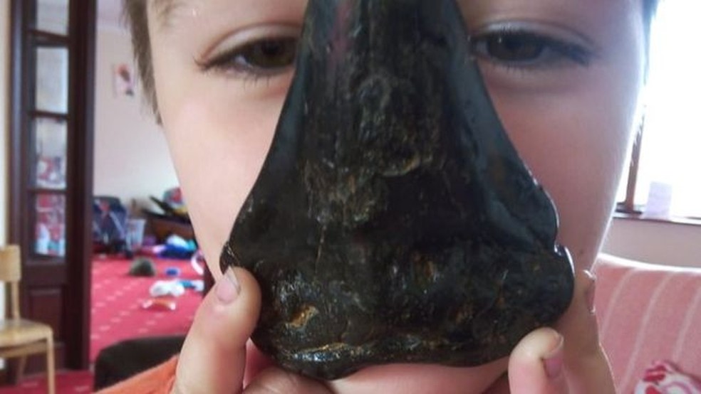 Sammy Shelton encontrou o dente gigante em uma praia de Suffolk， sul da Inglaterra — Foto: Peter Shelton/BBC