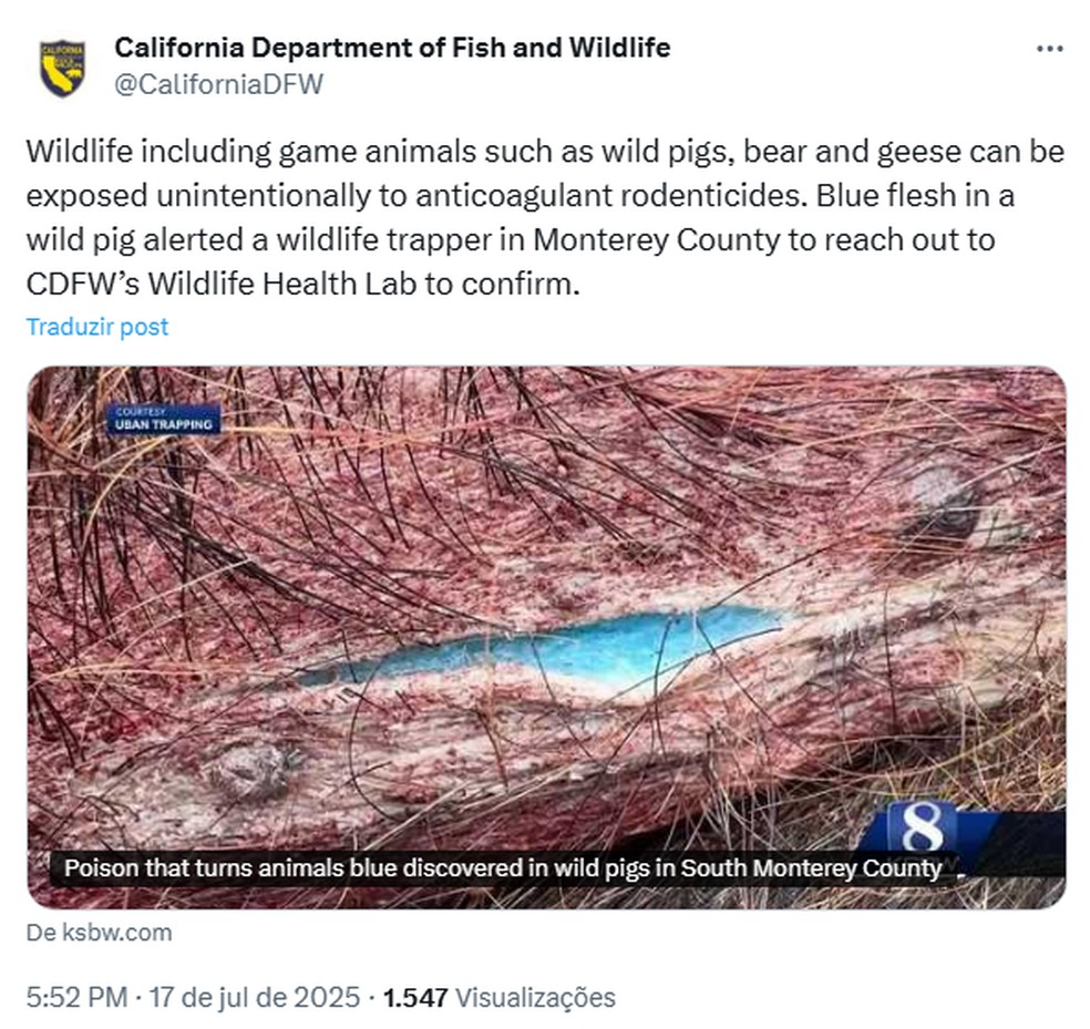Departamento de Pesca e Vida Selvagem da Califórnia (CDFW， na sigla em inglês) alerta sobre animais com carne azul neon — Foto: Reprodução/X